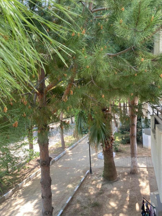 Palm Club Apart Otel Kusadası Kültér fotó
